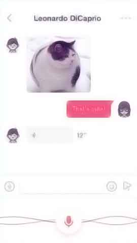 网页攻击器教程软件程序维护界面